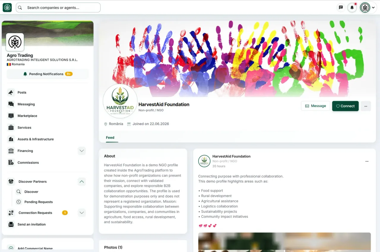 Järjestöt ja organisaatiot sosiaalisilla tai taloudellisilla rooleilla